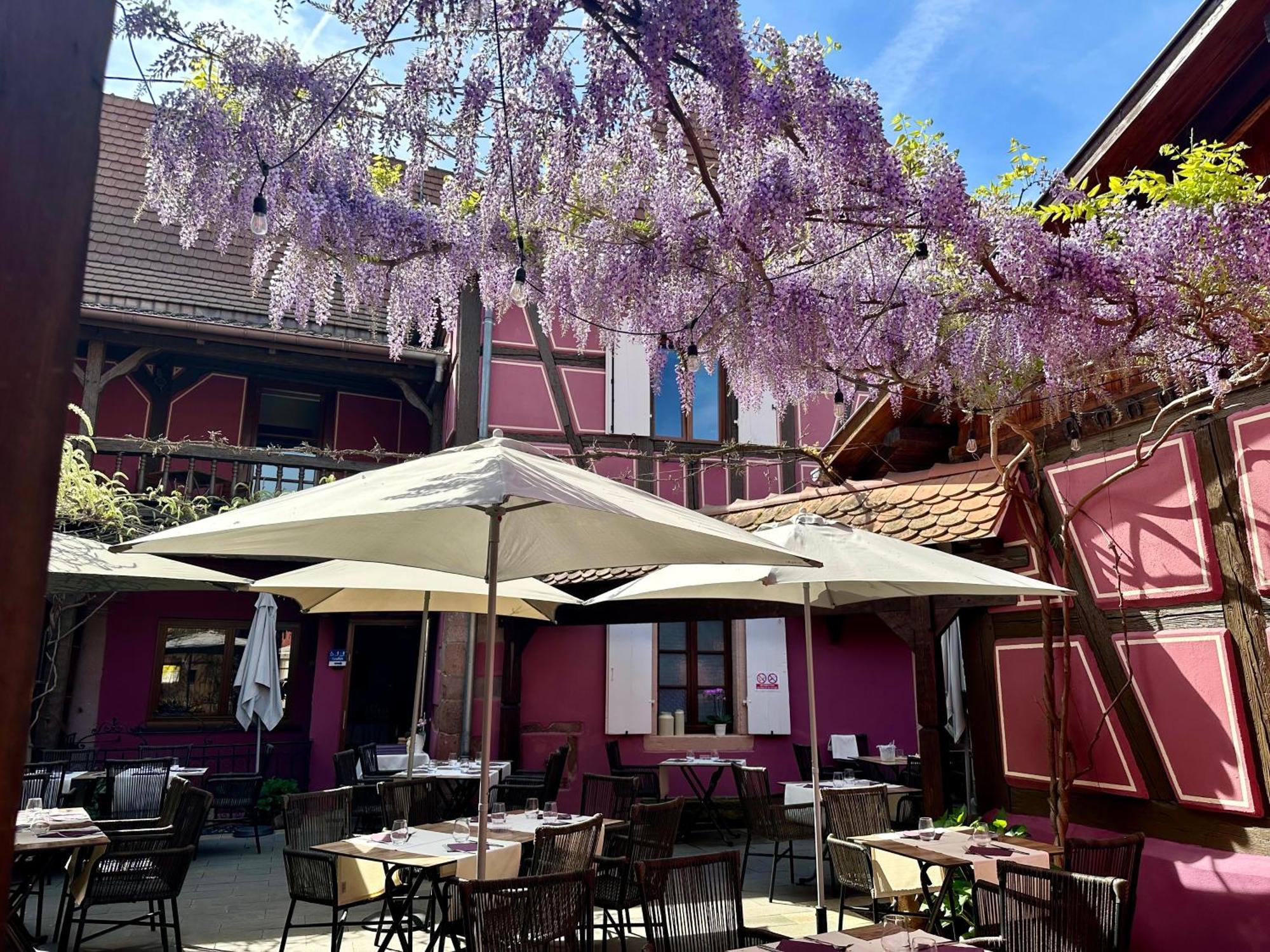 Auberge Le Meisenberg Châtenois Eksteriør bilde