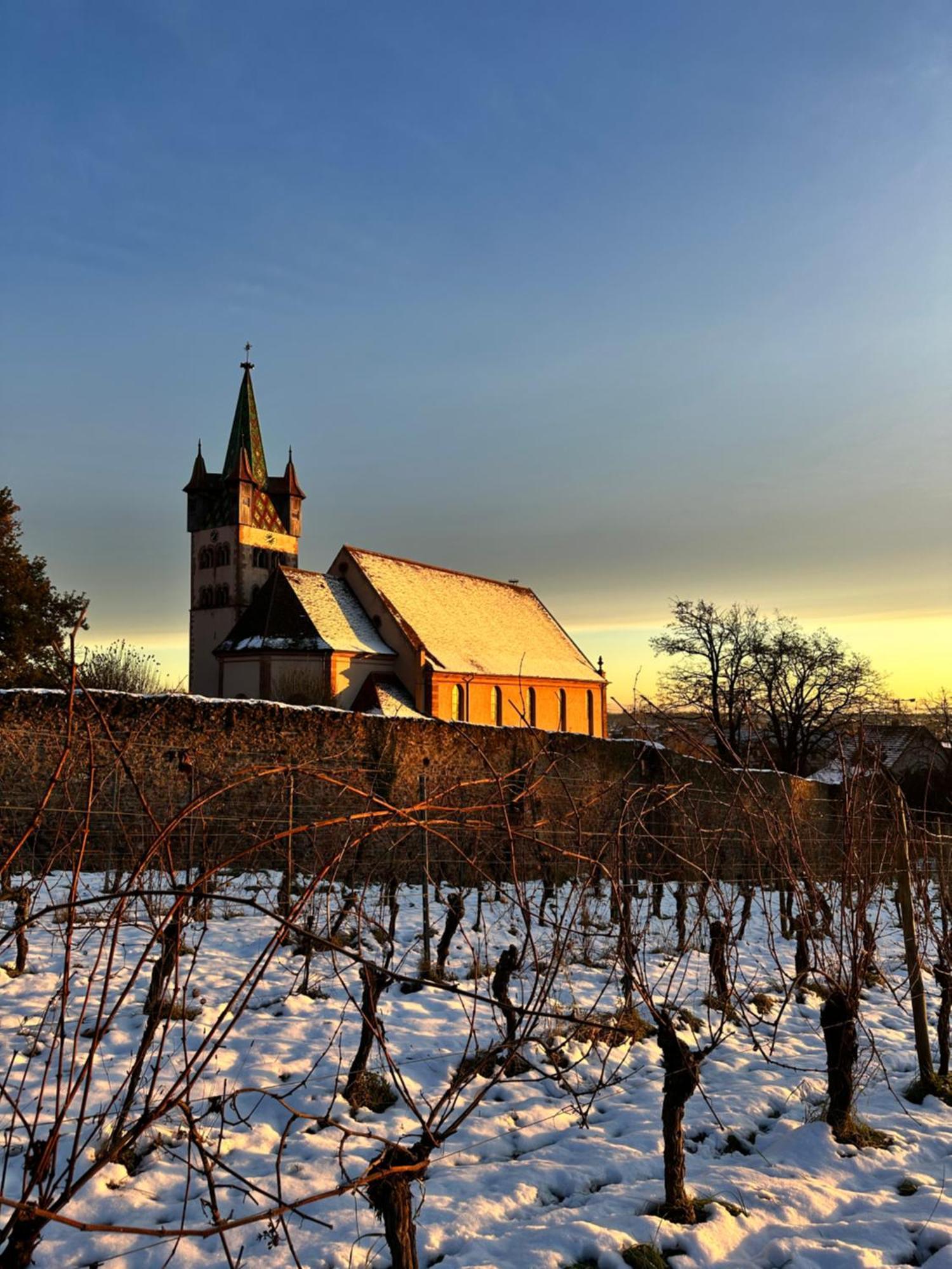 Auberge Le Meisenberg Châtenois Eksteriør bilde