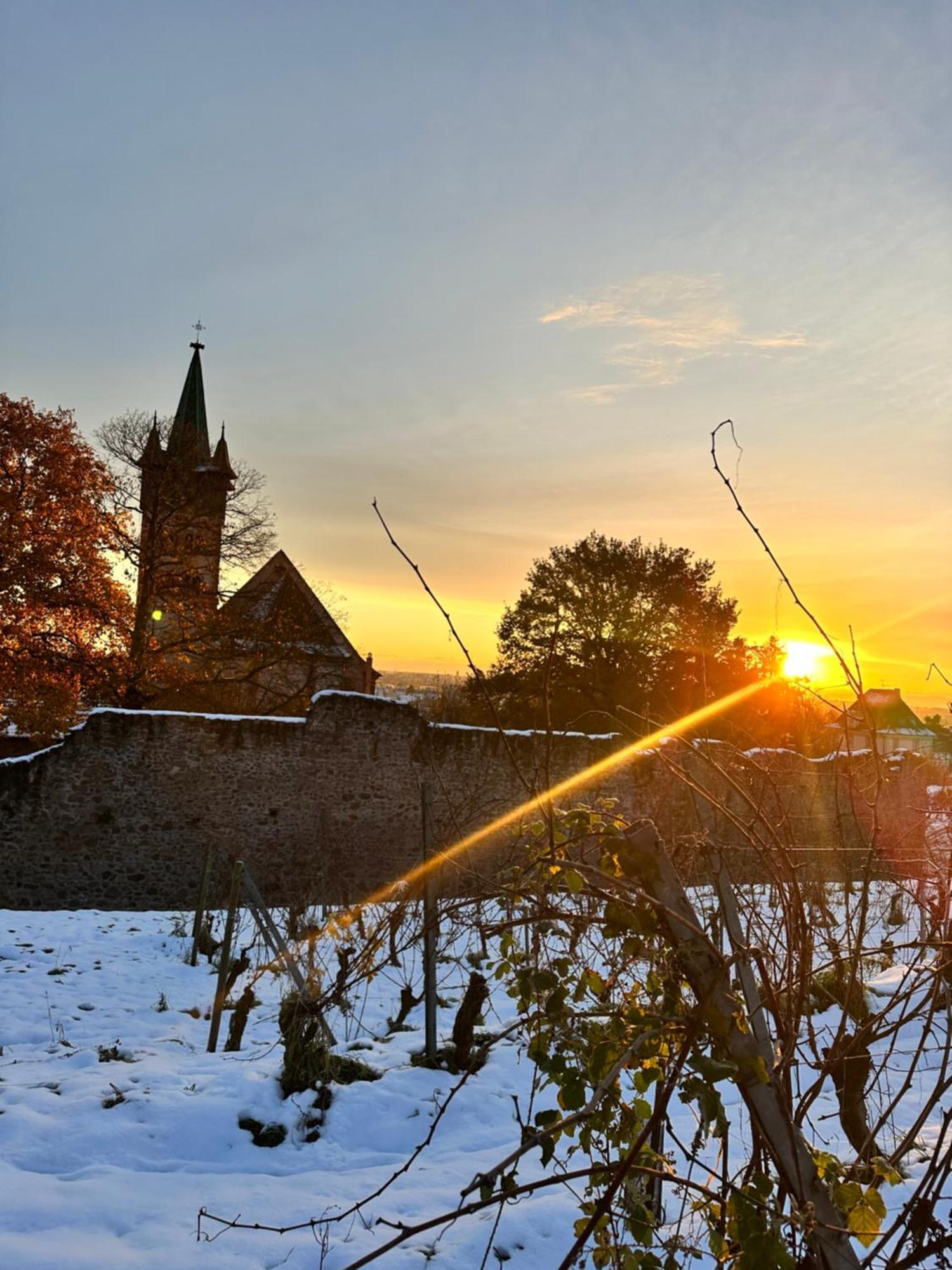 Auberge Le Meisenberg Châtenois Eksteriør bilde